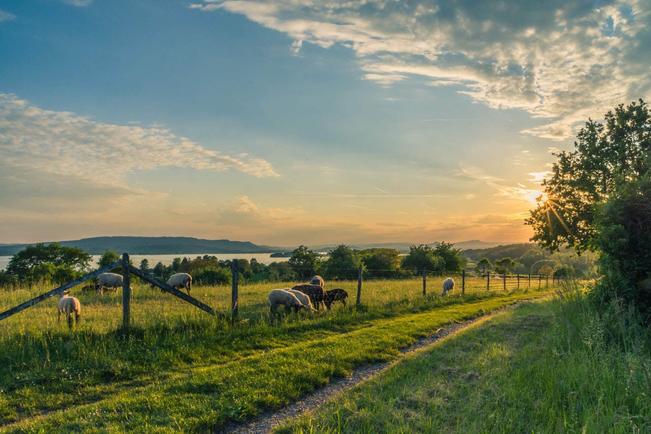 Agricultural land and ranches available for development in Florida